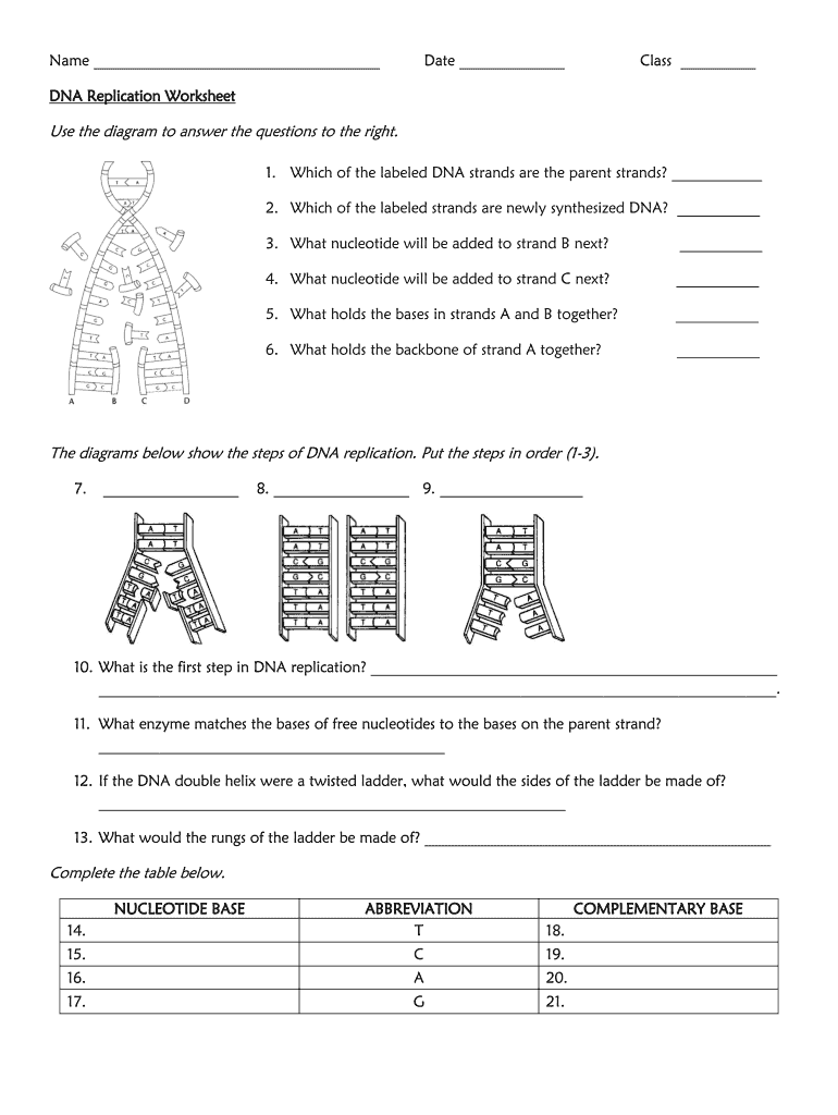 dna structure and replication worksheet dna structure and replication worksheet
