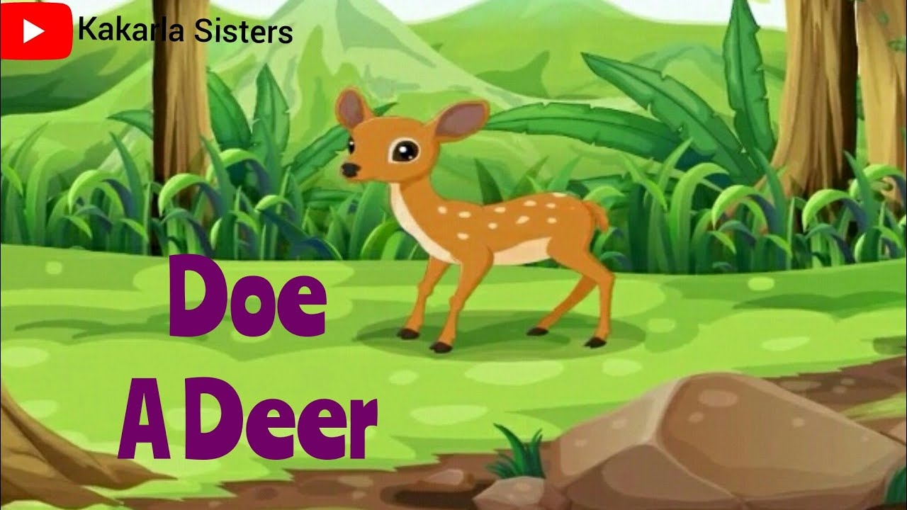 Doe A Deer Rhyme Nursery Rhymes Action Songs Rhymes Pre Primary Rhymes Kakarla Sisters YouTube