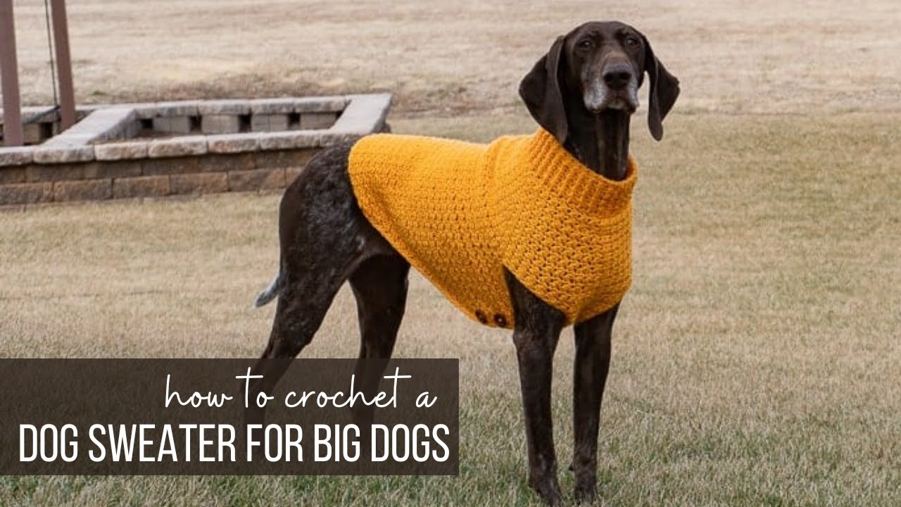 Easy Crochet Dog Sweater For Large XL And XXL Dogs YouTube Easy Crochet Dog Sweater For Large XL And XXL Dogs YouTube