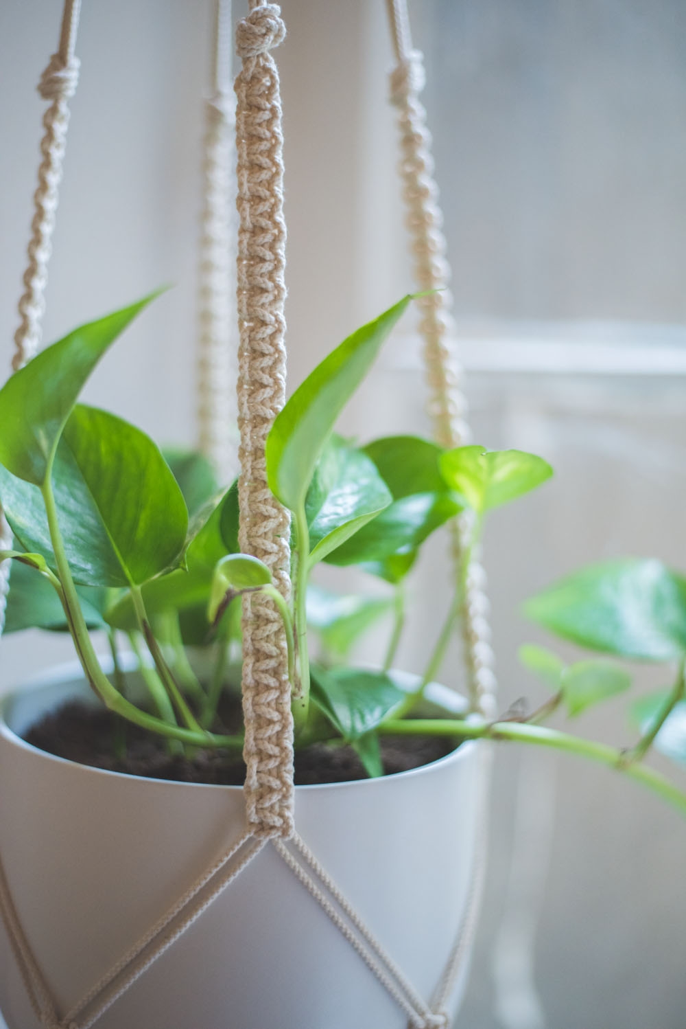 Easy Home DIY Macrame Plant Hanger Tutorial Heylilahey 
