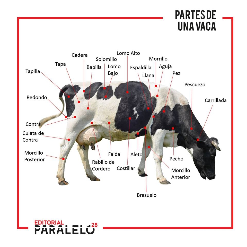 Editorial Paralelo28