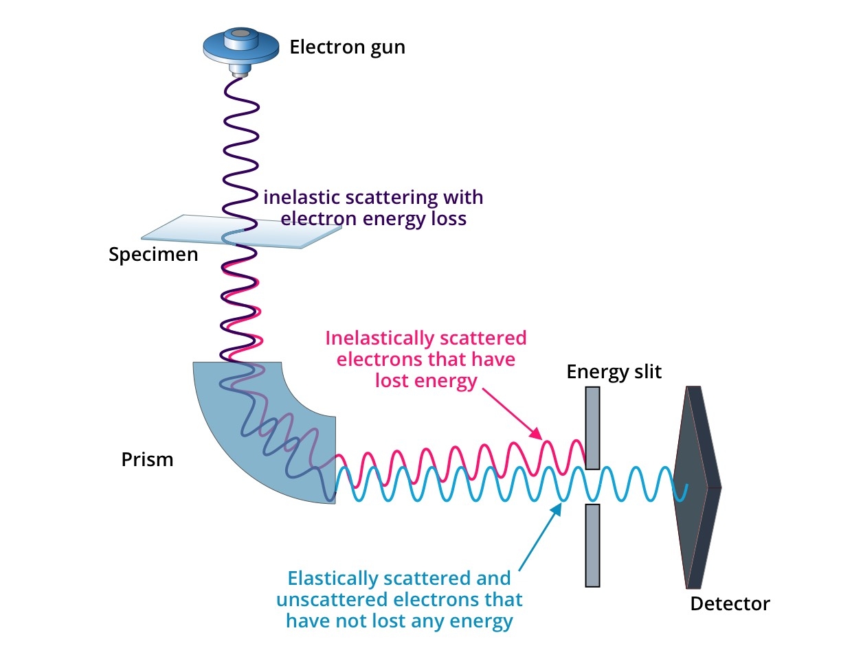 Electron Energy Filters CRYO