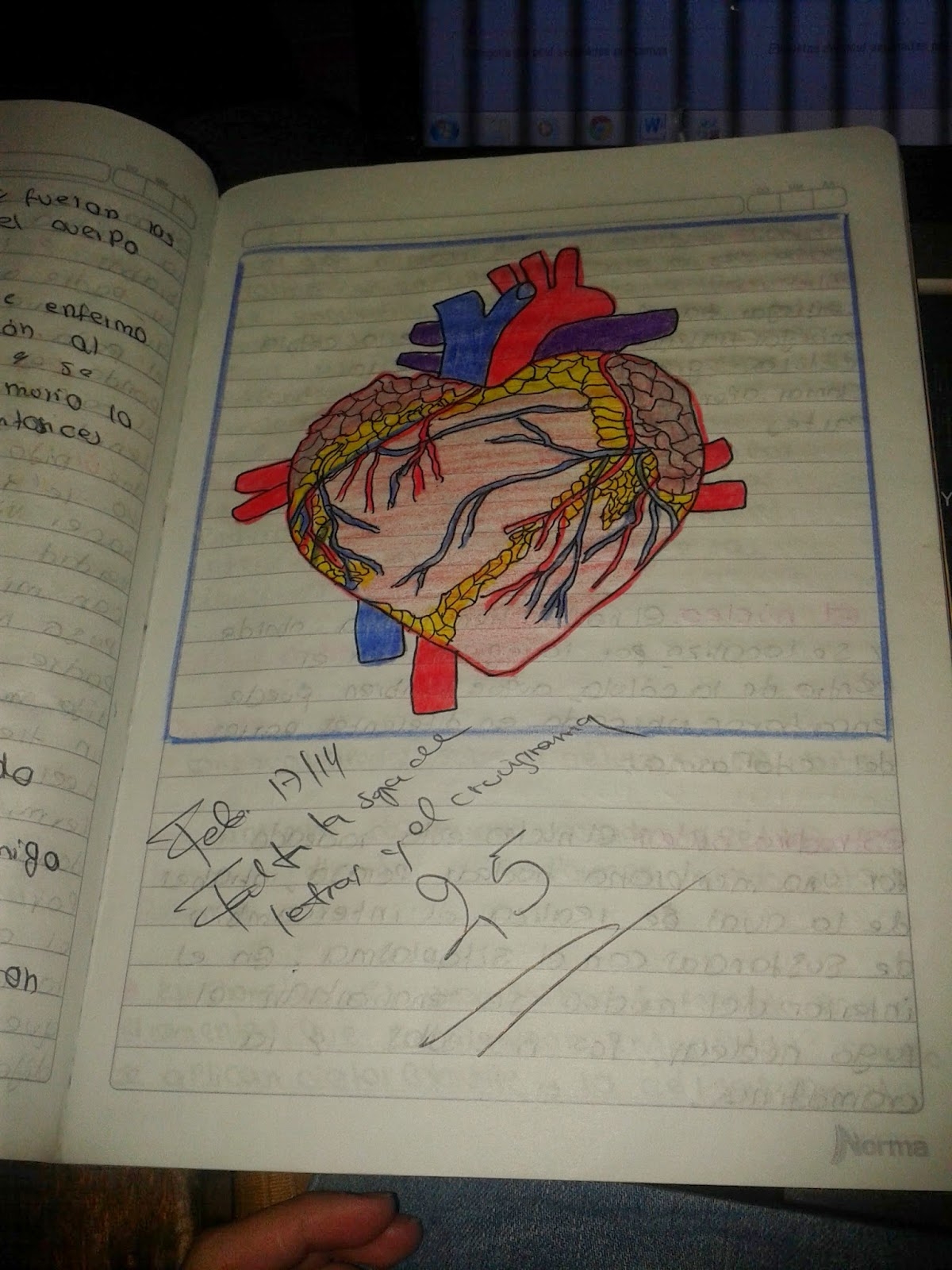 Evidencias Ciencias Naturales 2014