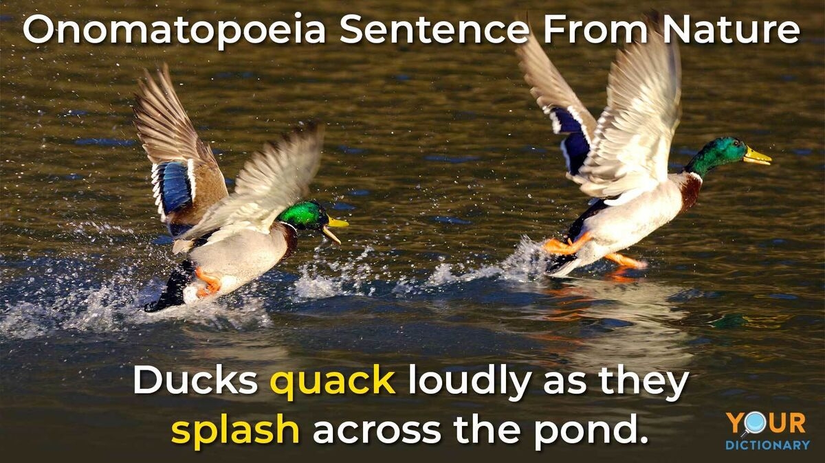 sample sentence of onomatopoeia sample sentence of onomatopoeia