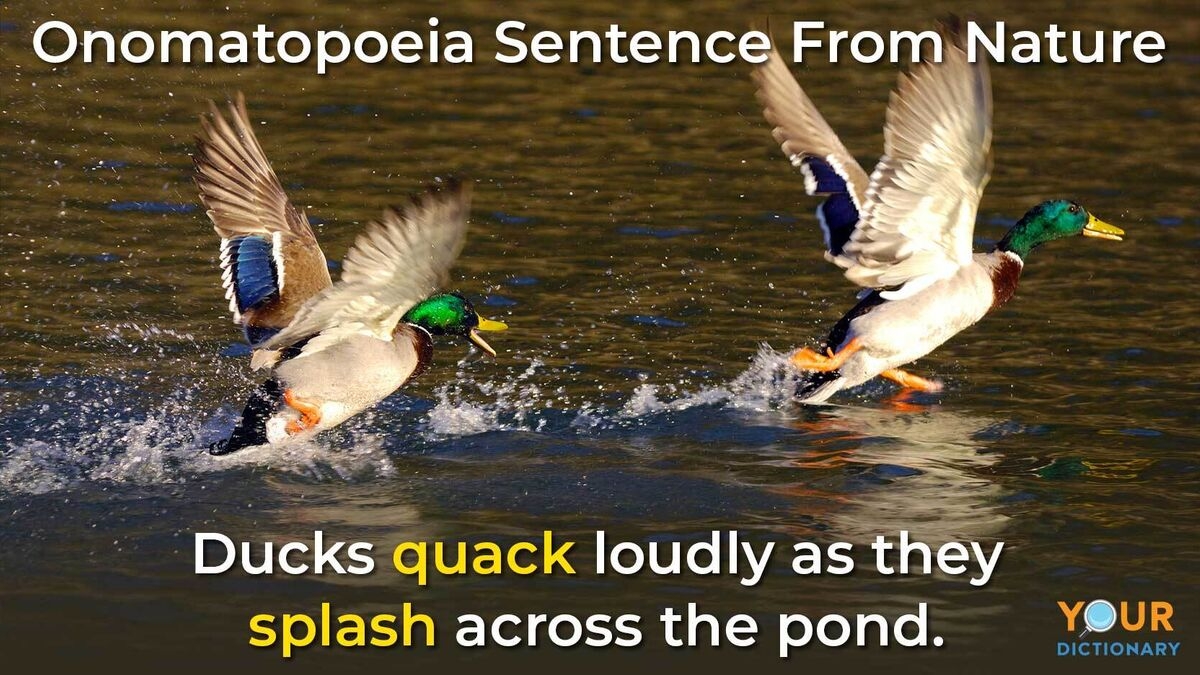 use onomatopoeia in a sentence