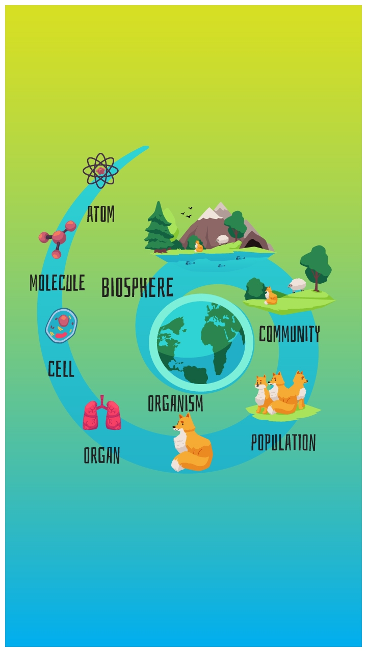 Explain The Ecological Hierarchy Explain Its Characteristics Aakash Blog Explain The Ecological Hierarchy Explain Its Characteristics Aakash Blog