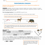 Exploring Cladograms A Student Guide To Evolutionary Relationships Studocu