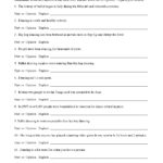 Fact And Opinion Worksheets Reading Comprehension