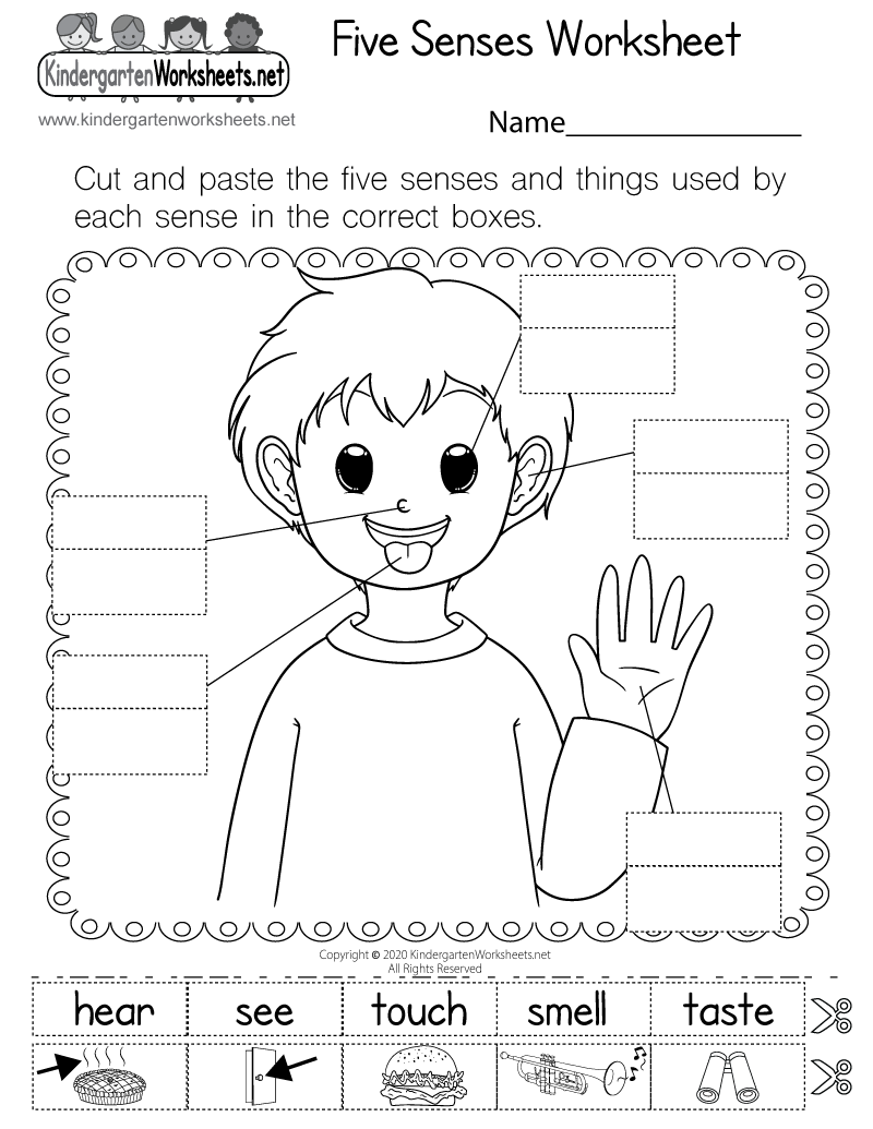 science worksheets for first graders