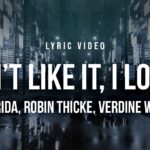 Flo Rida Feat Robin Thicke Verdine White I Don t Like It I Love It Lyrics YouTube