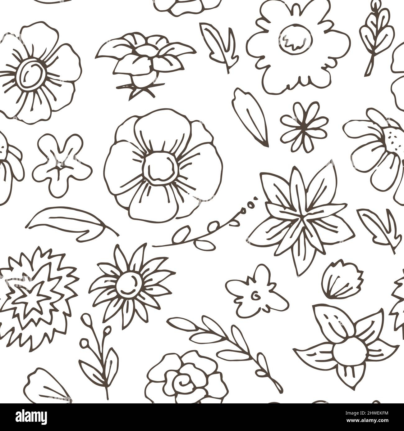 Flower Sketch Simple Cut Out Stock Images Pictures Page 2 Alamy Flower Sketch Simple Cut Out Stock Images Pictures Page 2 Alamy