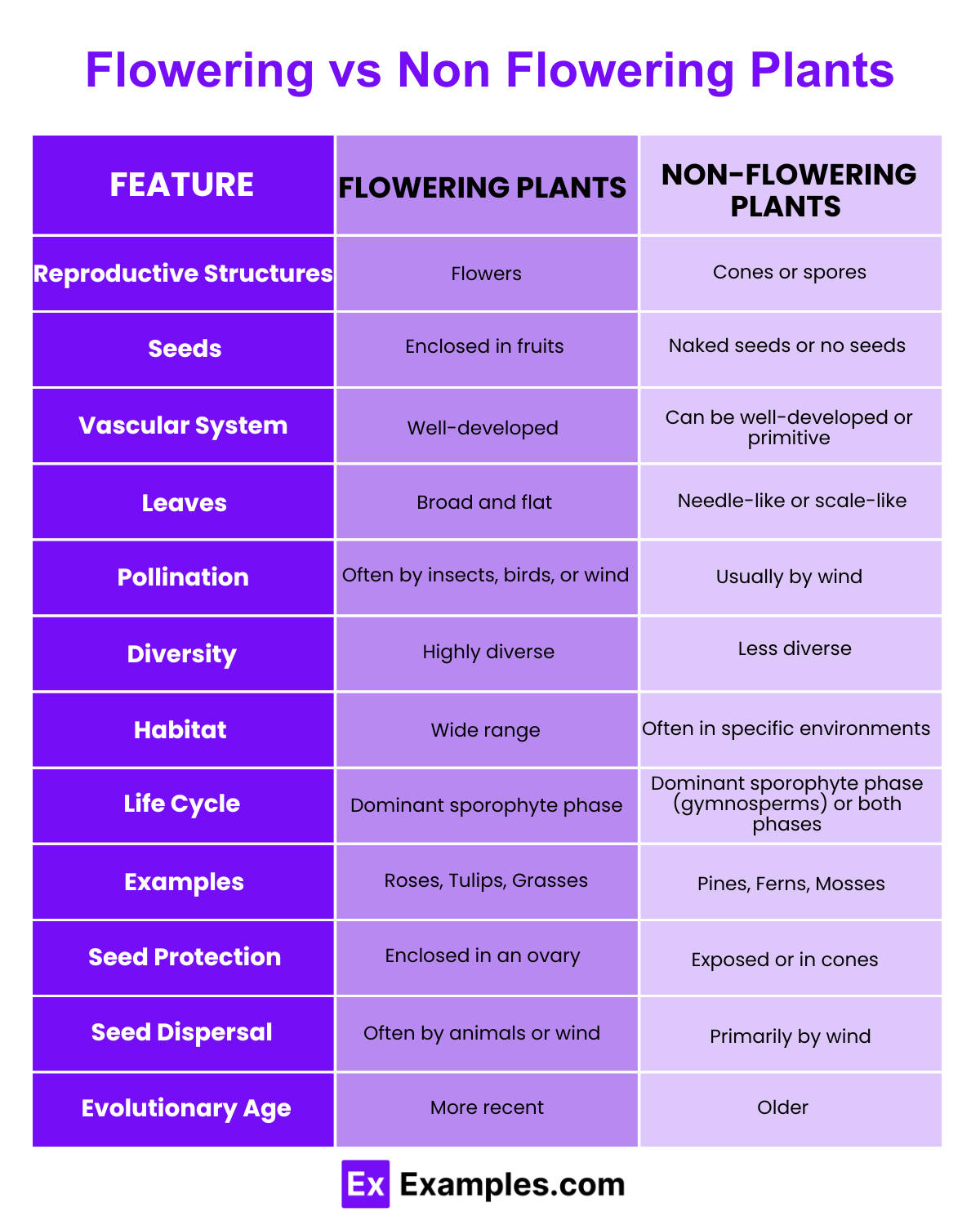 Flowering Vs Non Flowering Plants Differences Explained With Examples Flowering Vs Non Flowering Plants Differences Explained With Examples