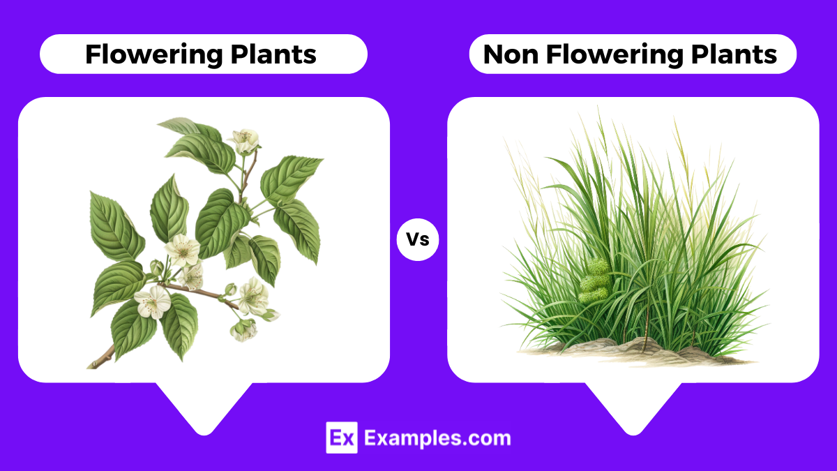 Flowering Vs Non Flowering Plants Differences Explained With Examples