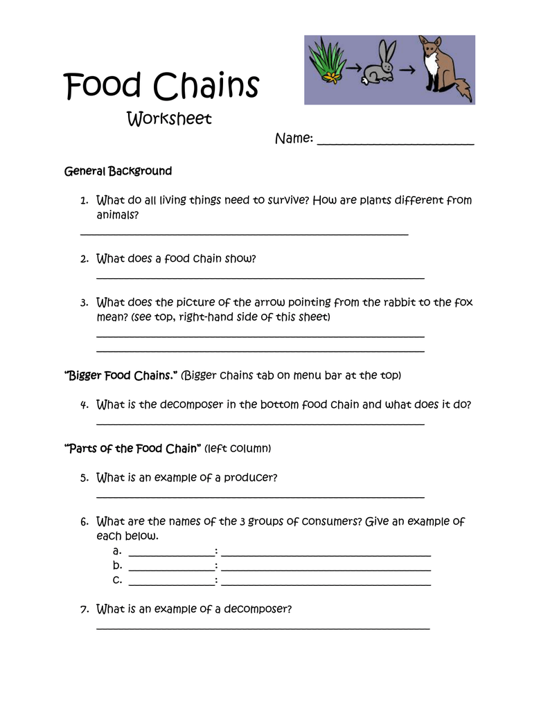 Food Chains Worksheet Producers Consumers Decomposers
