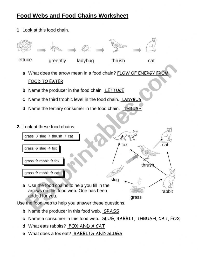 Food Web And Food Chain ESL Worksheet By LianSuzy Worksheets Library