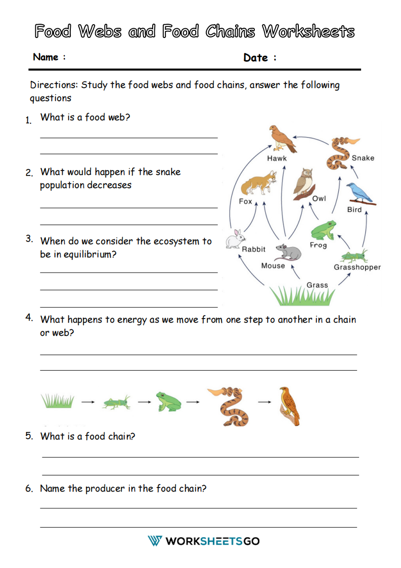 Food Webs And Food Chains Worksheets WorksheetsGO