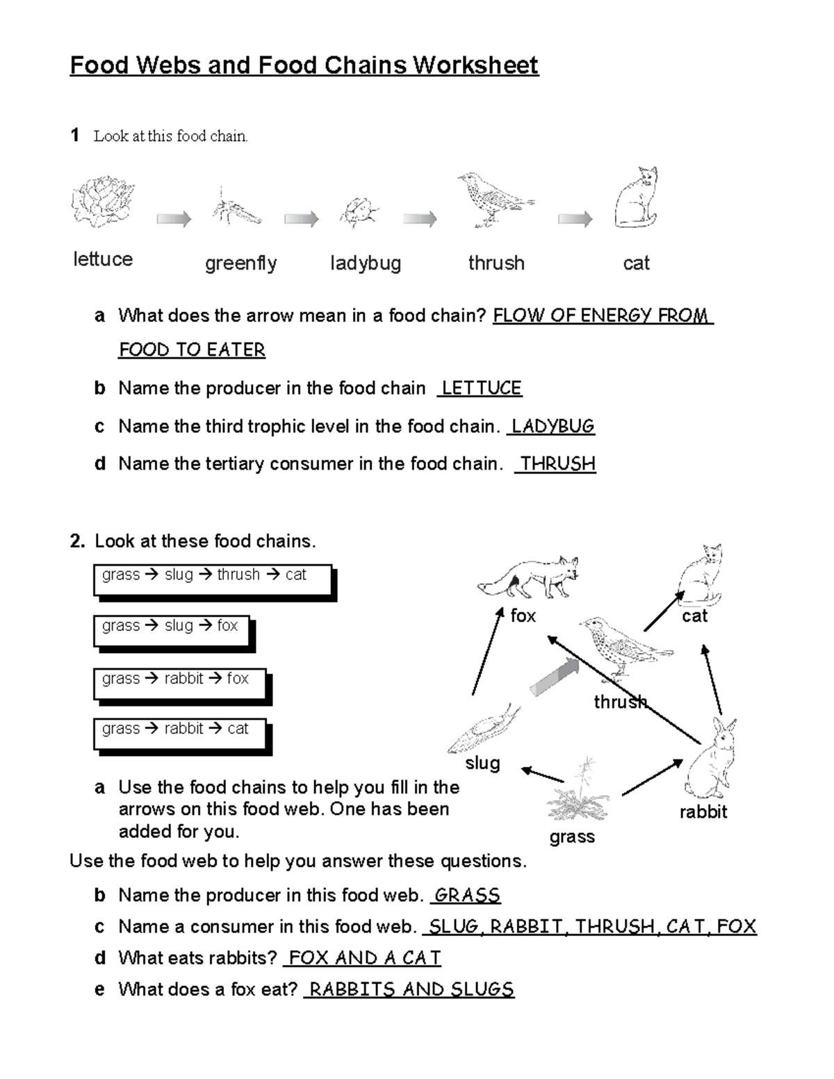 Food Websand Food Chains Worksheet KEY 11dbru5 Food Webs And Food Chains Worksheet 1 Look At This Studocu