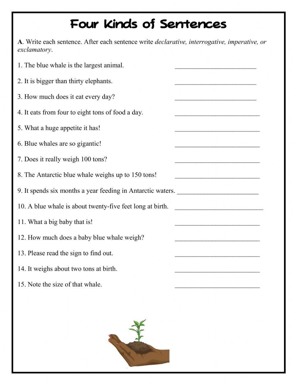 Four Kinds Of Sentences Worksheet Live Worksheets Worksheets Library