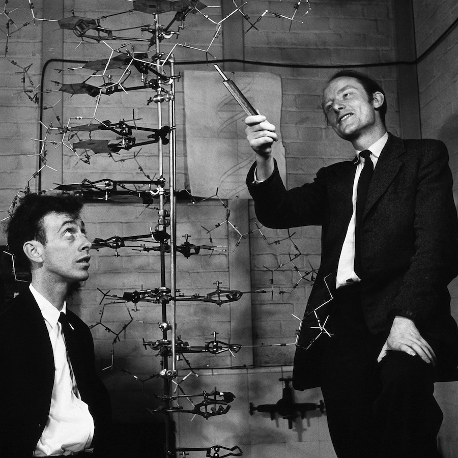 Francis Crick Rosalind Franklin James Watson And Maurice Wilkins Science History Institute