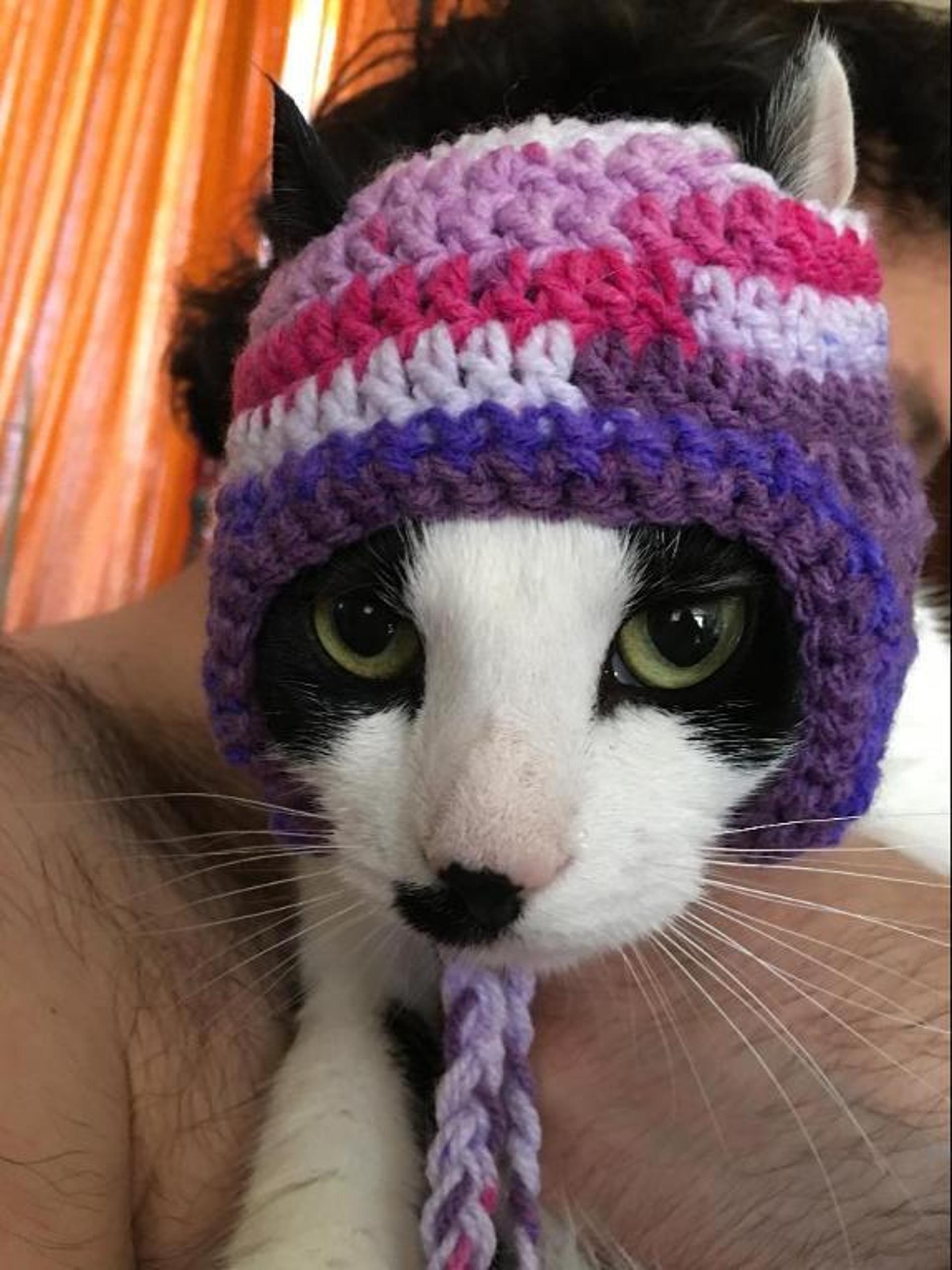 free crochet cat hat pattern