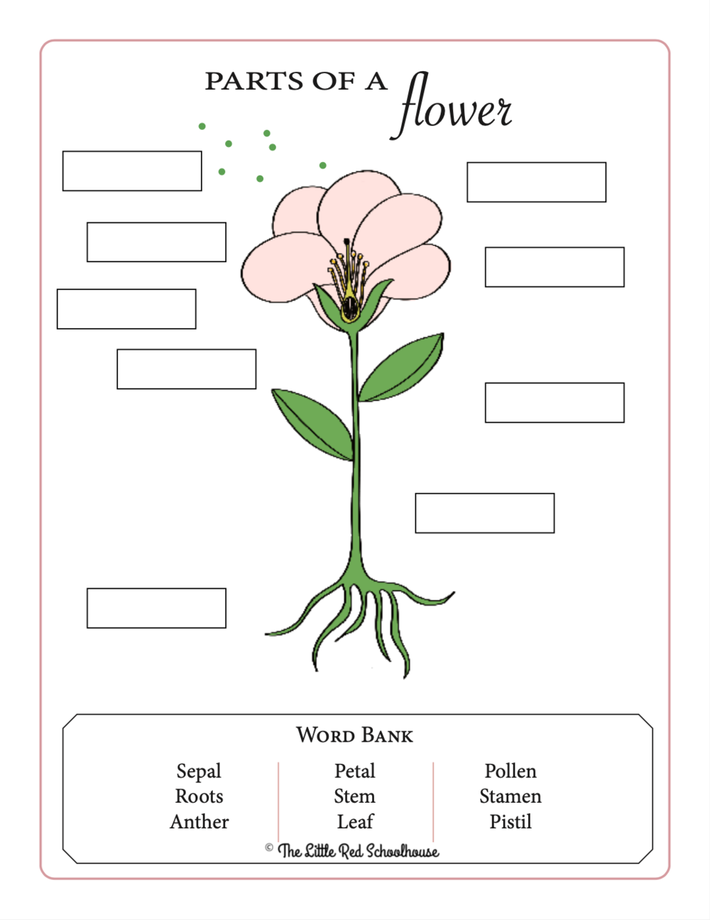 FREE Flower Anatomy Worksheet Adventures In The Schoolhouse Worksheets Library