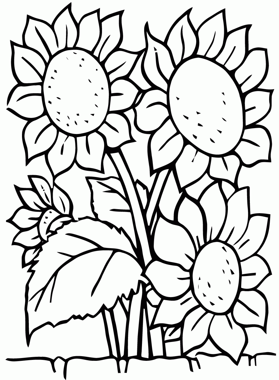 Free Flowers Coloring Download Flower Coloring Pages For Kids