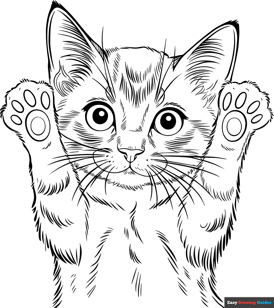 Free Kittens Coloring Pages For Kids 14 Printable Sheets Free Kittens Coloring Pages For Kids 14 Printable Sheets