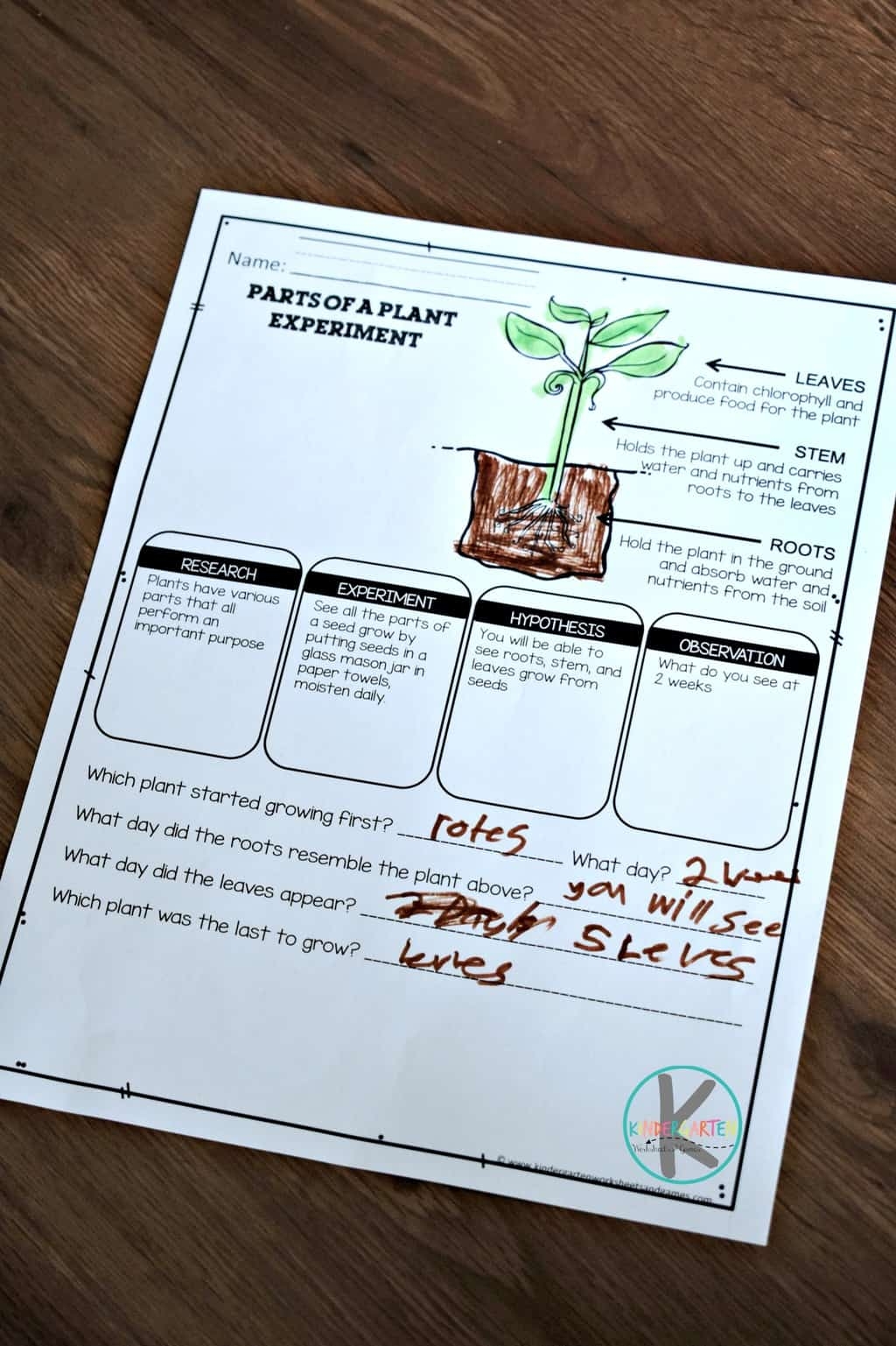  FREE Parts Of A Plant Worksheet And Activity For Kindergarten