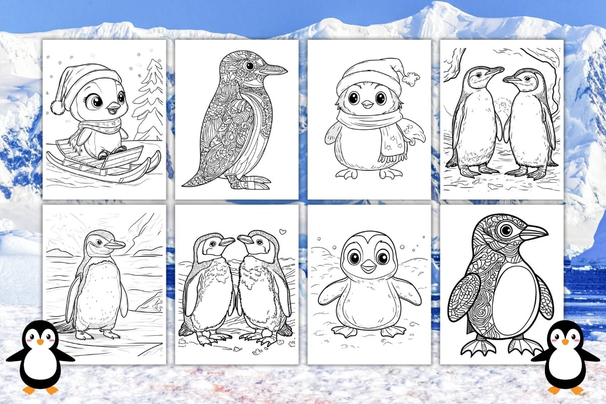 coloring pics of penguins