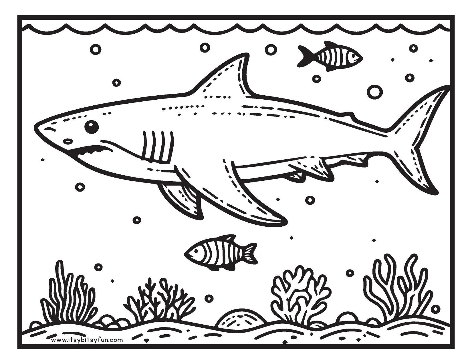 Free Printable Shark Coloring Pages For Kids Itsy Bitsy Fun