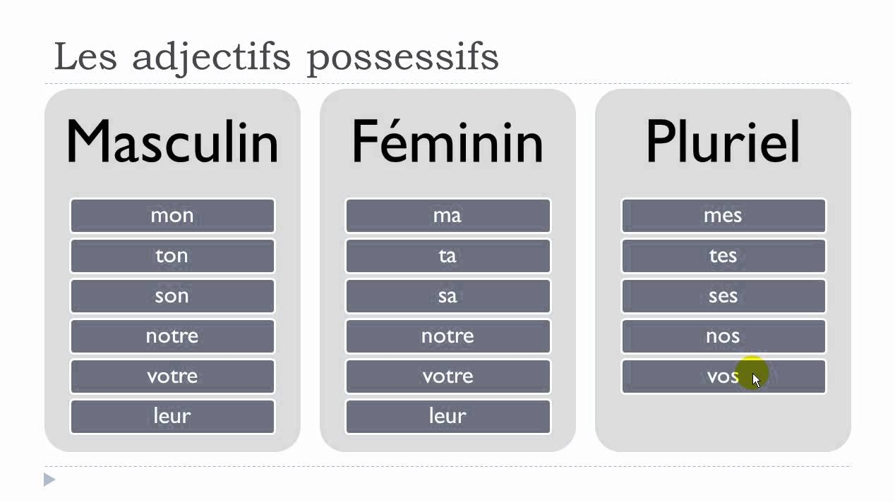 French Lesson With Vincent Unit 2 Lesson D Les Adjectifs Possessifs YouTube