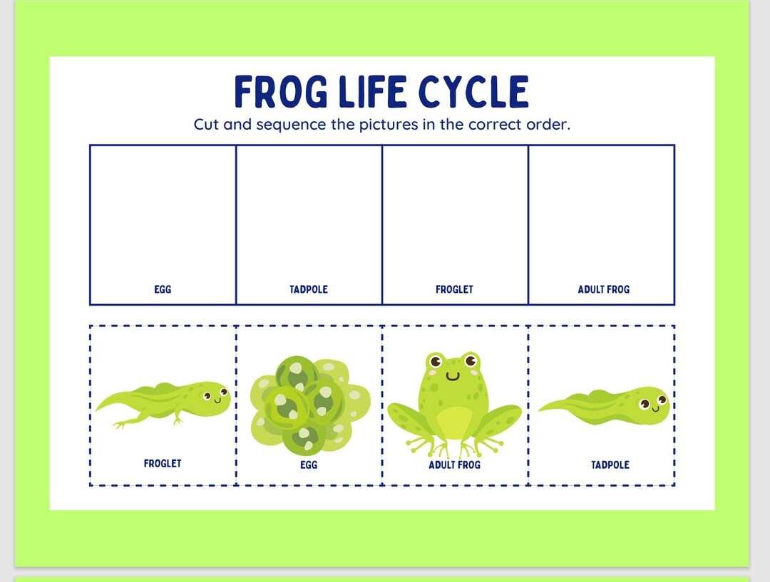 Frog Life Cycle Cut And Paste Worksheet Etsy Frog Life Cycle Cut And Paste Worksheet Etsy
