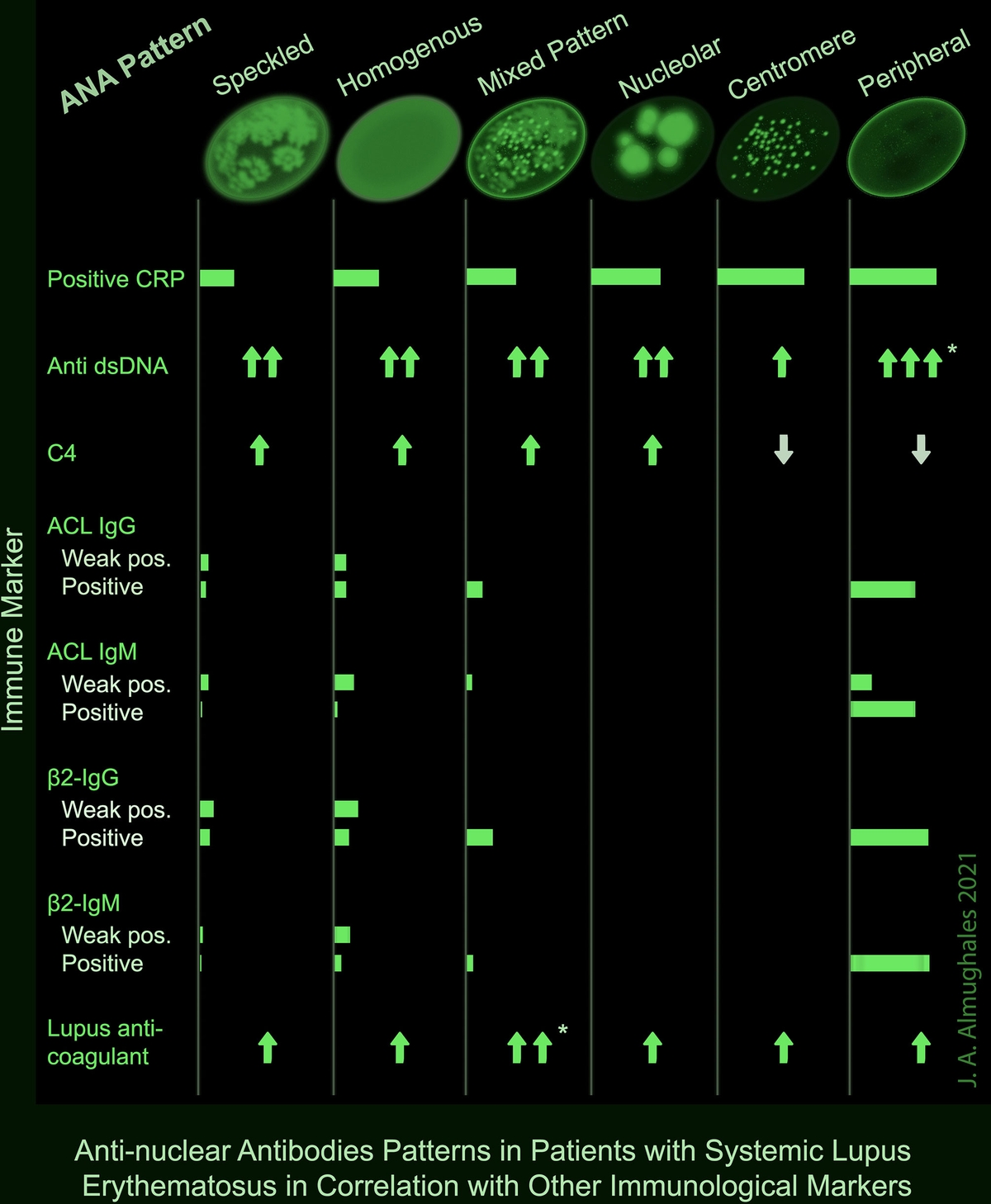 Frontiers Anti Nuclear Antibodies Patterns In Patients With Systemic Lupus Erythematosus And Their Correlation With Other Diagnostic Immunological Parameters