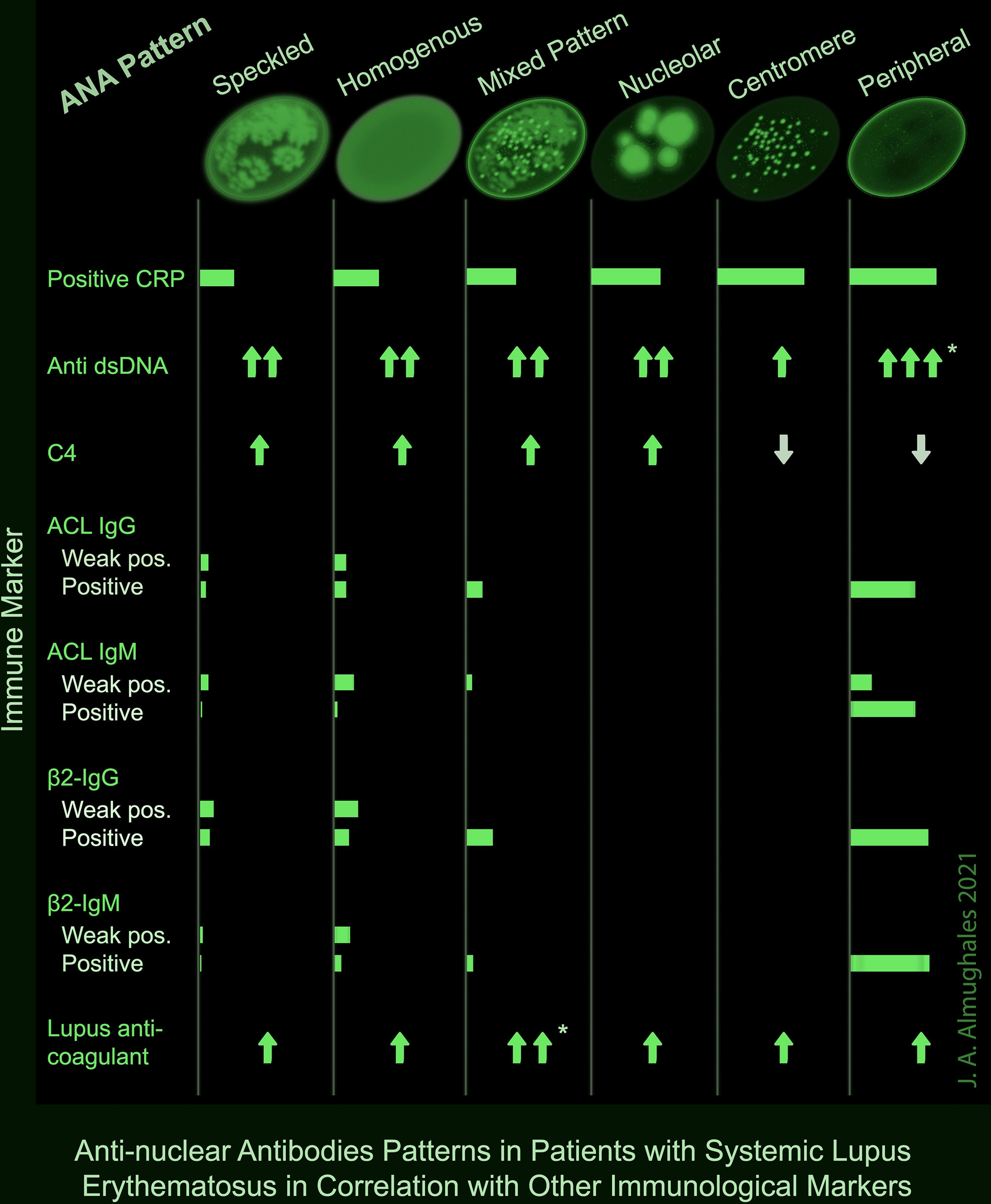 Frontiers Anti Nuclear Antibodies Patterns In Patients With Systemic Lupus Erythematosus And Their Correlation With Other Diagnostic Immunological Parameters