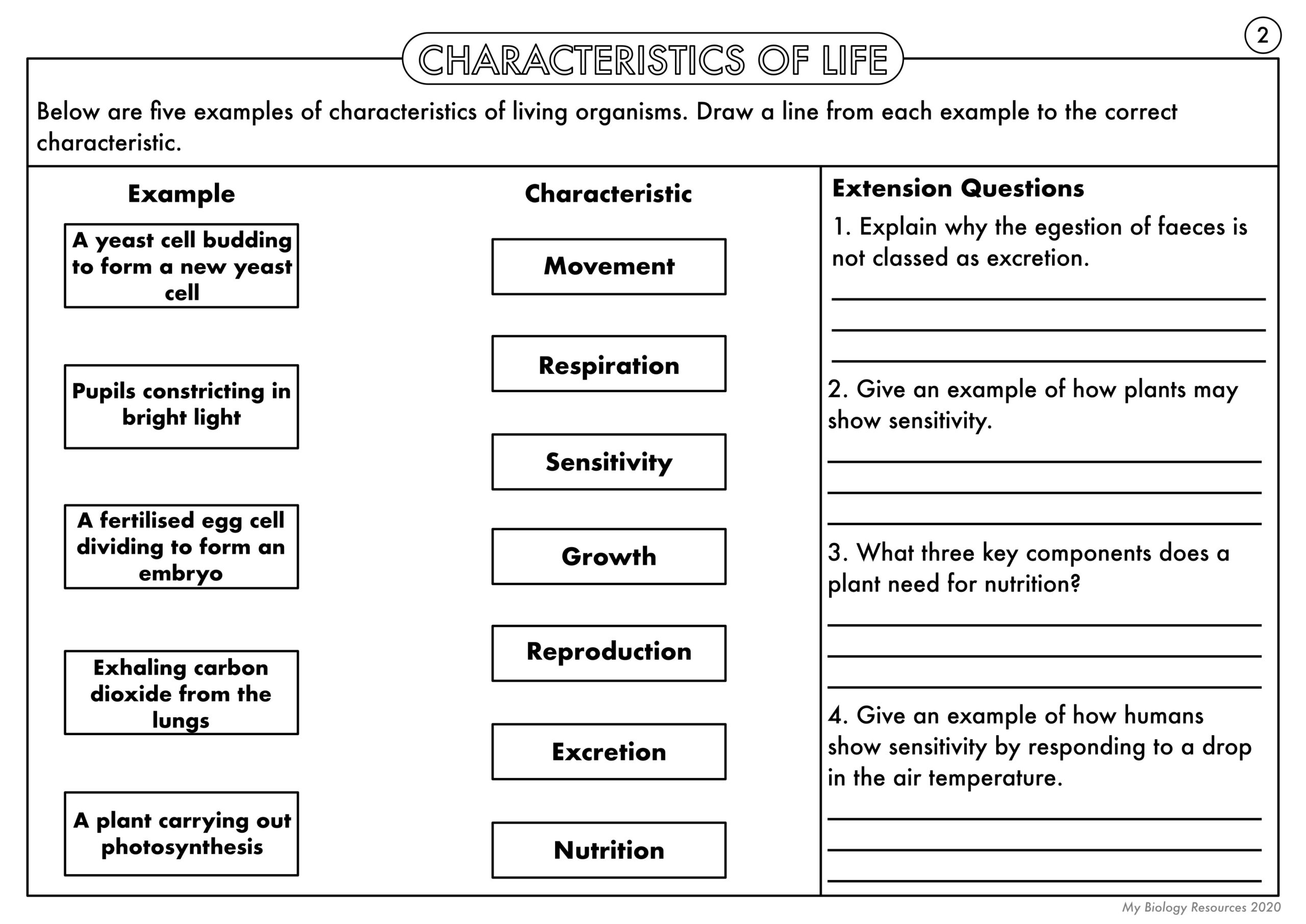 GCSE Biology Characteristics Of Life MRS GREN Worksheet Pack Teaching Resources