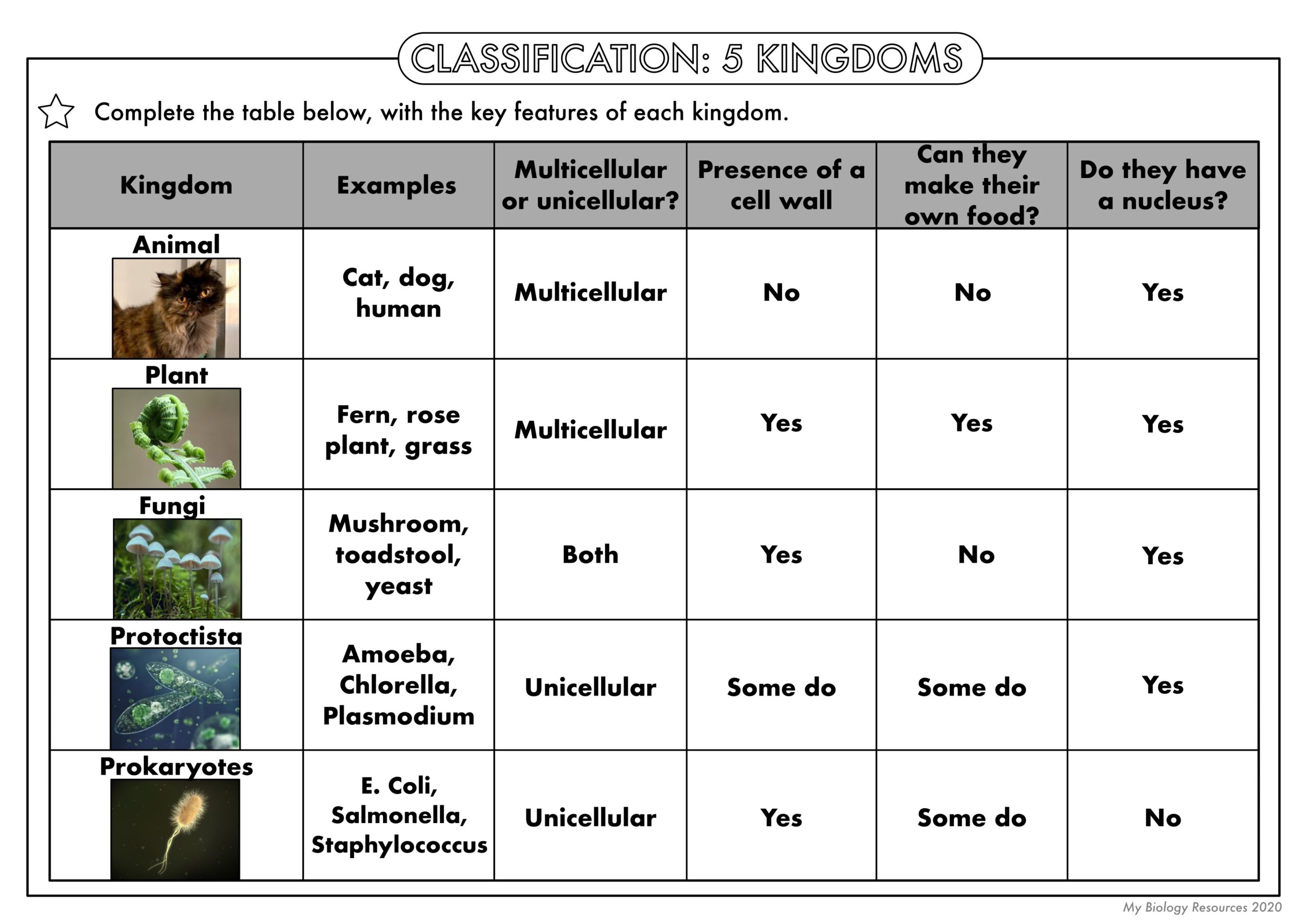 GCSE Biology Classification Worksheet Pack Teaching Resources Worksheets Library GCSE Biology Classification Worksheet Pack Teaching Resources Worksheets Library