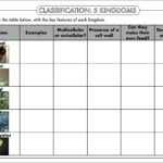 GCSE Biology Classification Worksheet Pack Teaching Resources Worksheets Library