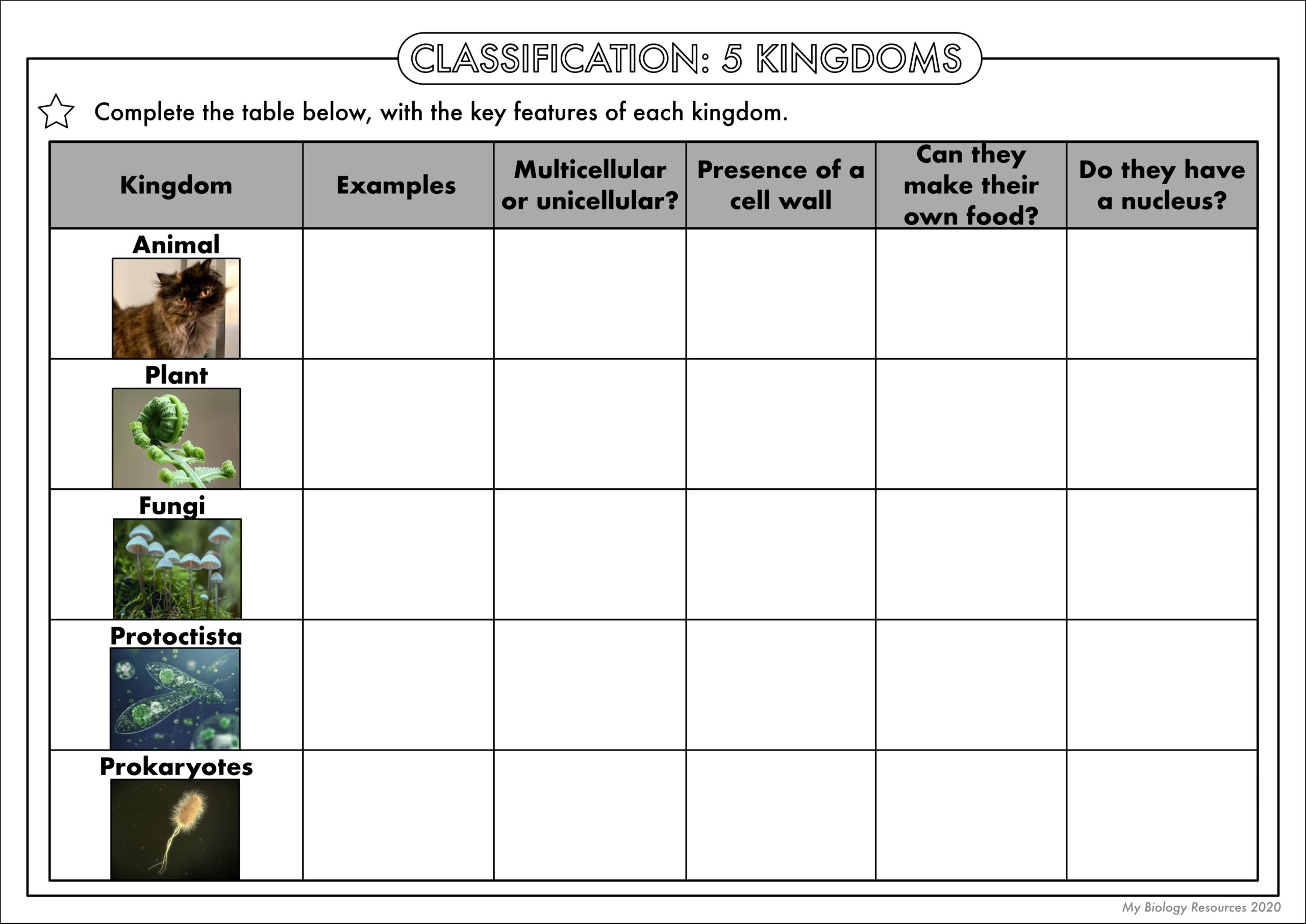 GCSE Biology Classification Worksheet Pack Teaching Resources Worksheets Library