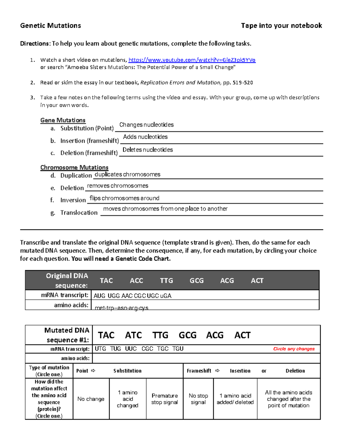 dna mutations practice worksheet dna mutations practice worksheet
