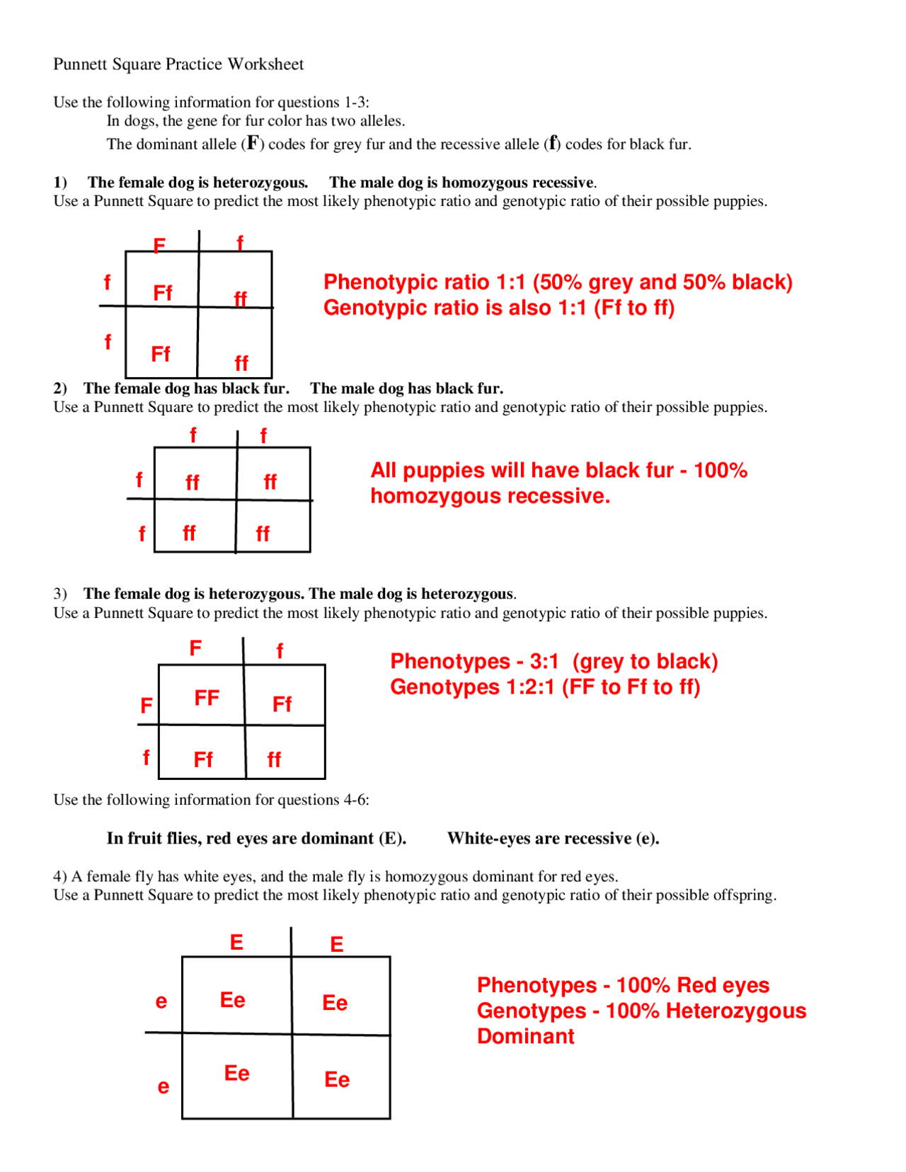Genetics And Inheritance Punnett Square Practice Problems Study Notes Genetics Docsity