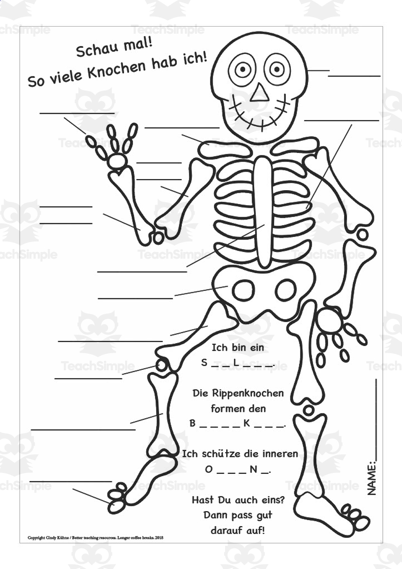 German Skeleton Bone Label Worksheet By Teach Simple