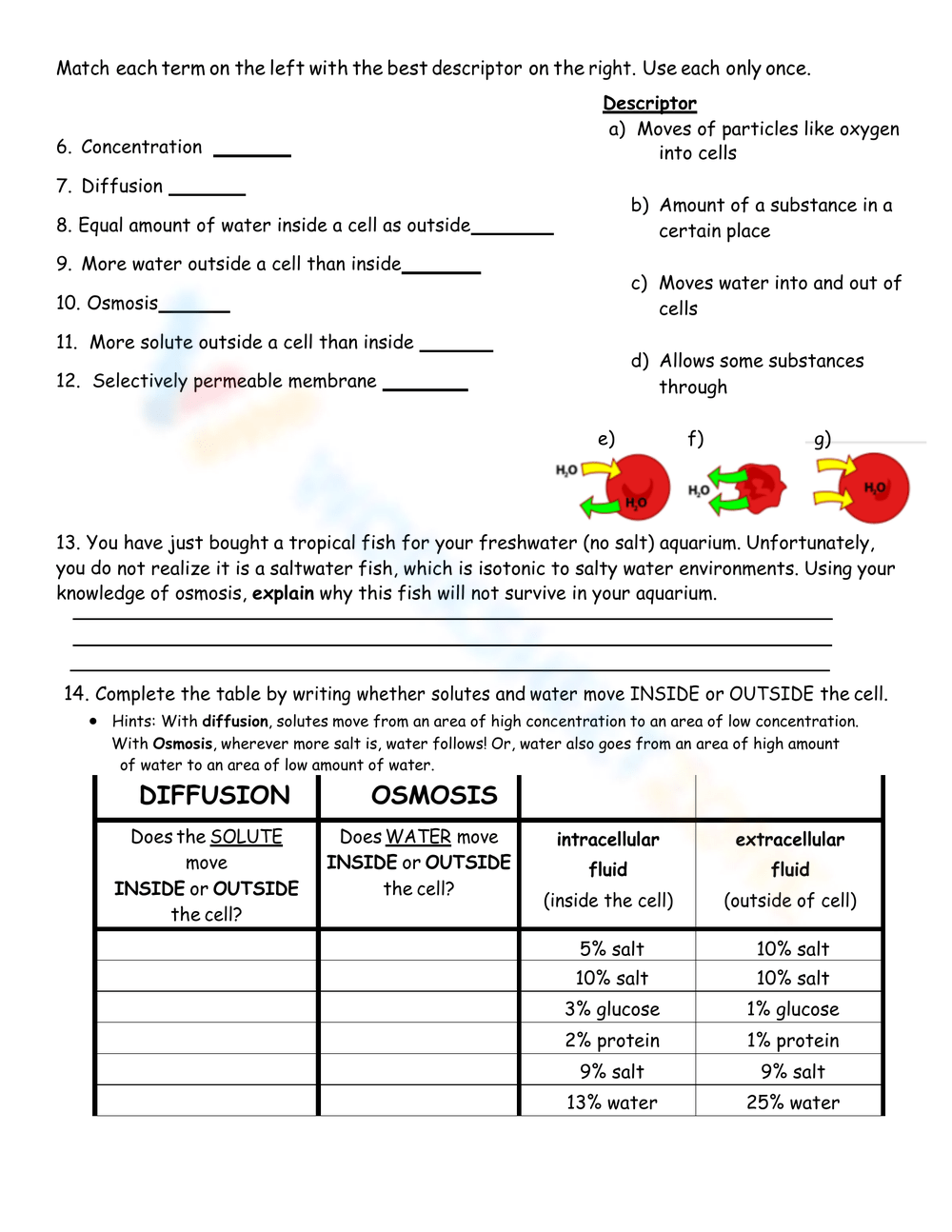 Grade 8 Diffusion And Osmosis Worksheets Grade 8 Diffusion And Osmosis Worksheets