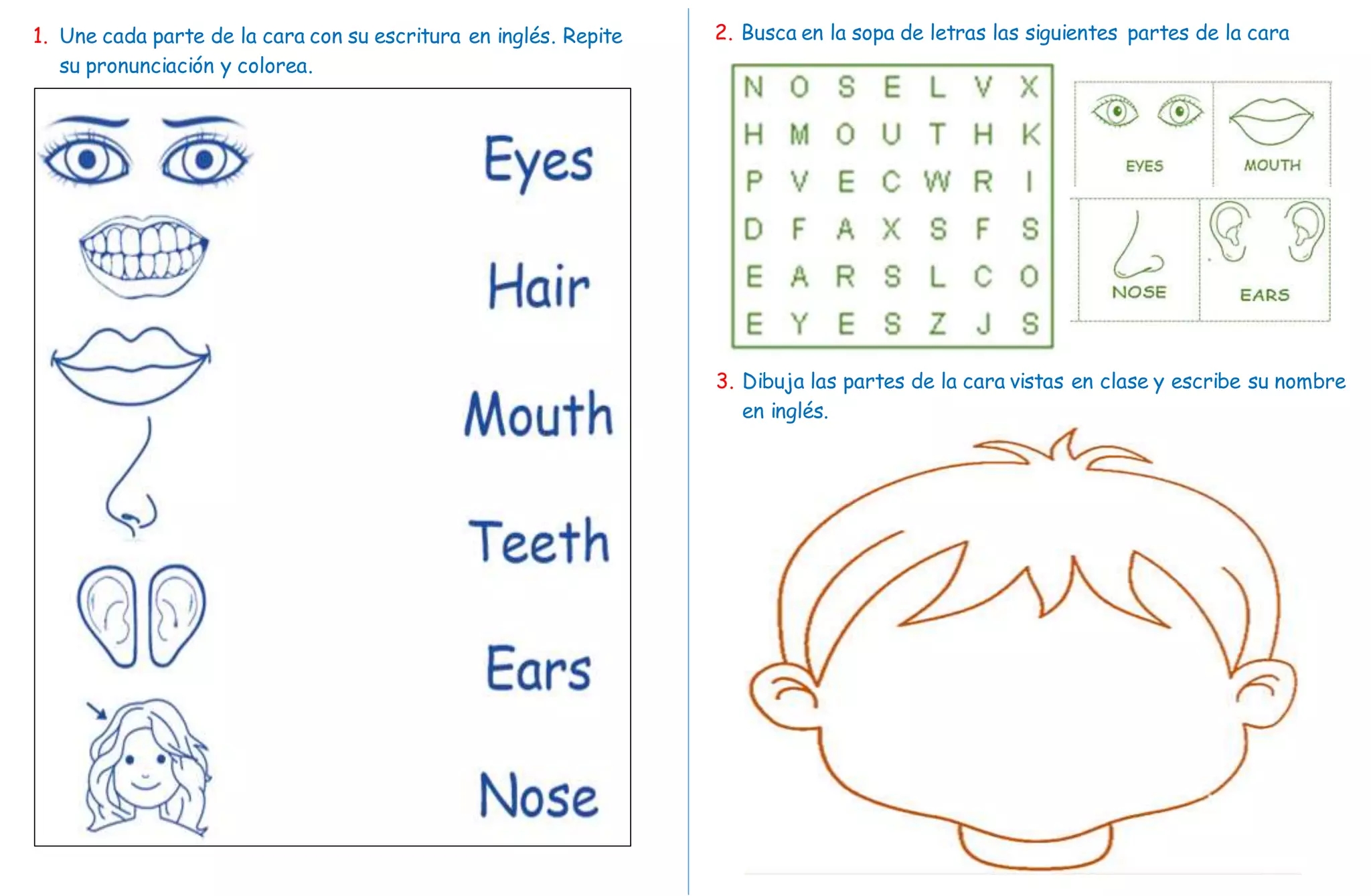 Gu a Ingl s Partes De La Cara docx