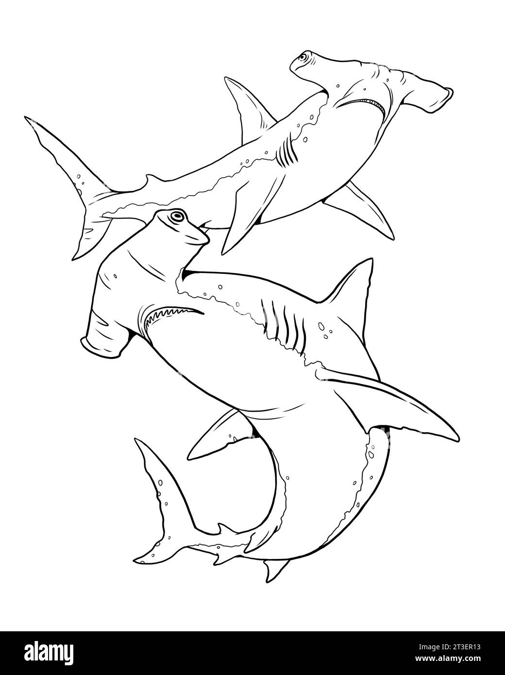 Hammerhead Shark To Color In Template For A Coloring Book With Sea Animals Colouring Page Stock Photo Alamy