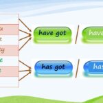 HAVE GOT HAS GOT affirmative Negative Interrogative YouTube