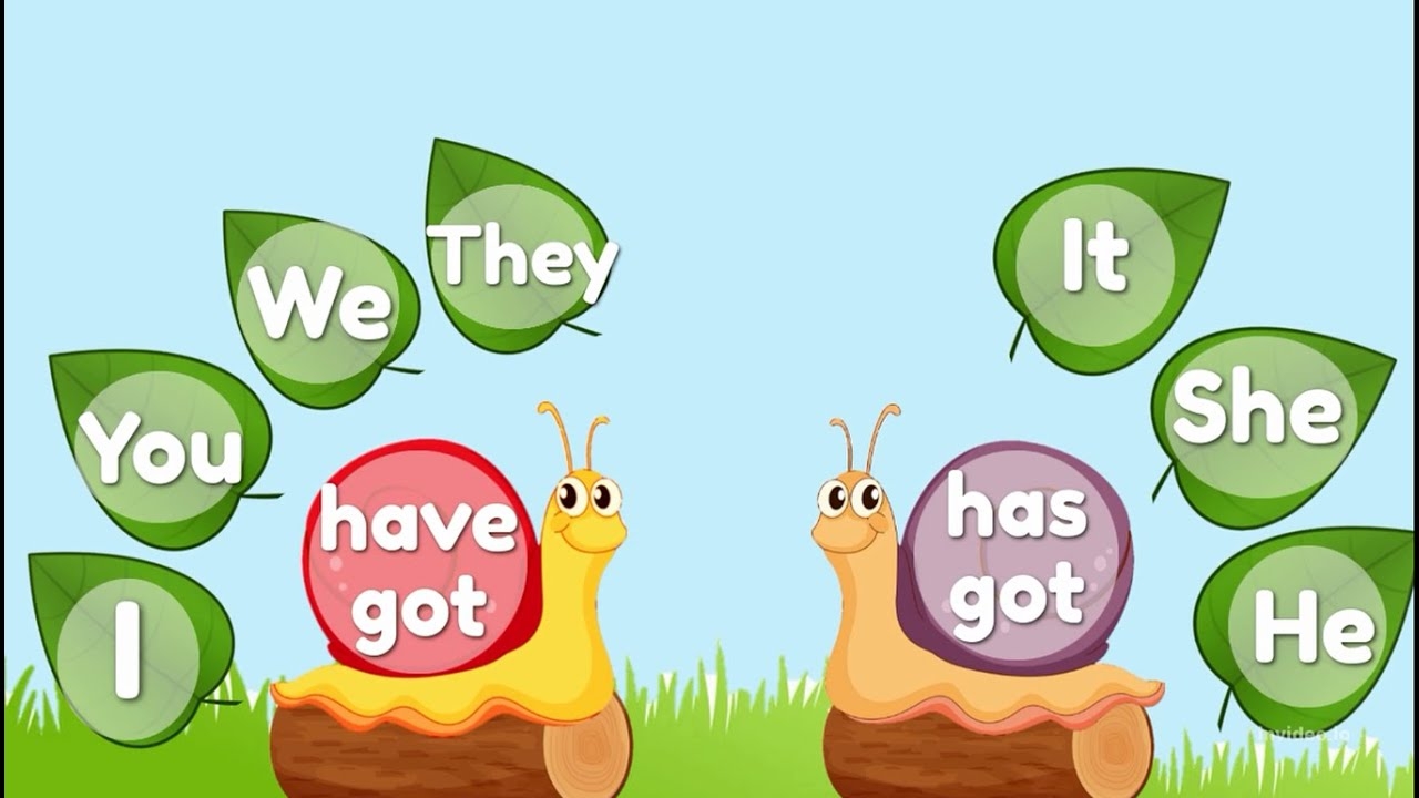 Have Got Has Got For Kids Grammar Have And Has YouTube