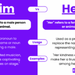 Him Vs Her Meanings Difference Examples Usage