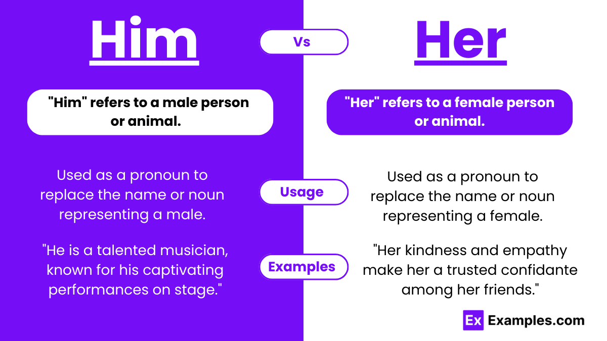 Him Vs Her Meanings Difference Examples Usage