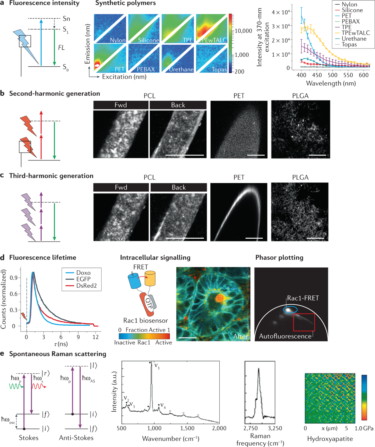 integra blue confetti pattern originating story who designed it