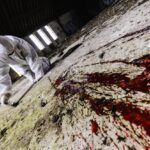 How To Become A Blood Spatter Analyst In 5 Steps Career Guide